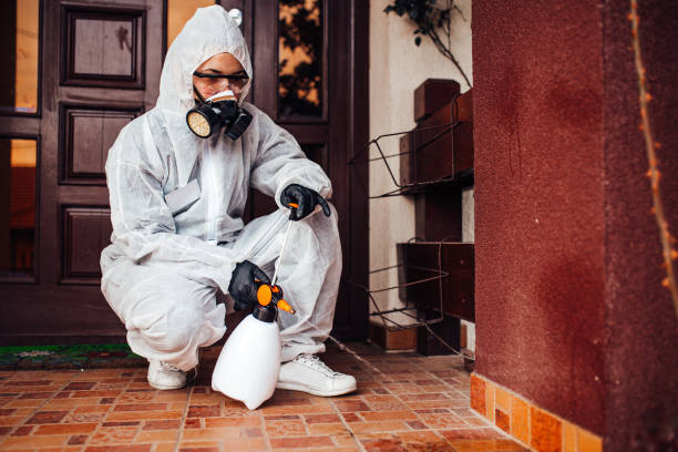 Reliable Bed Bug Control contractor in Mission Viejo, CA by Nex Pest Control