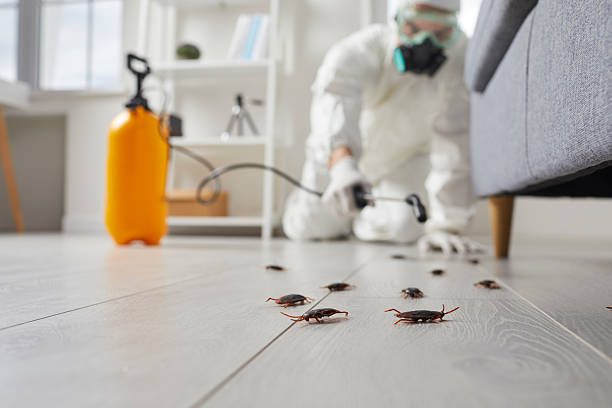 Trusted Fumigation Services service in Mission Viejo, CA - Nex Pest Control