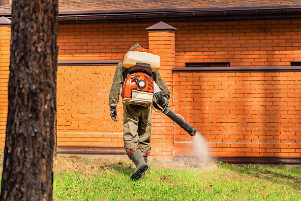 Trusted Rodent Control service in Mission Viejo, CA - Nex Pest Control
